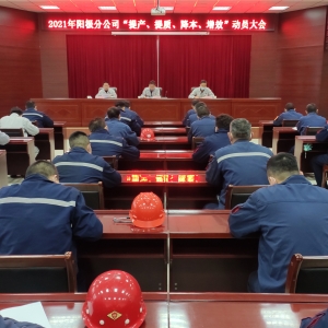 ꖘOֹ˾_2021ꡰa(chn)|(zh)Ч(dng)T(hu)