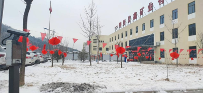 VI˾_չӭ꣬Ҟ鹫˾¡