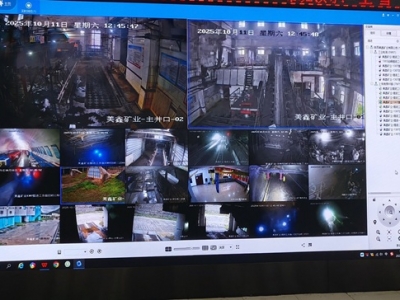 VI˾ұƺúVIҕlOϵyĿͨ^